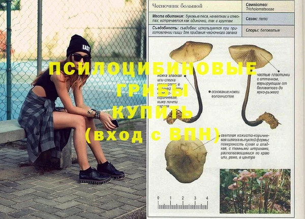 Альфа ПВП Дмитровск