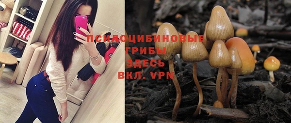 мяу мяу кристалл Дмитров
