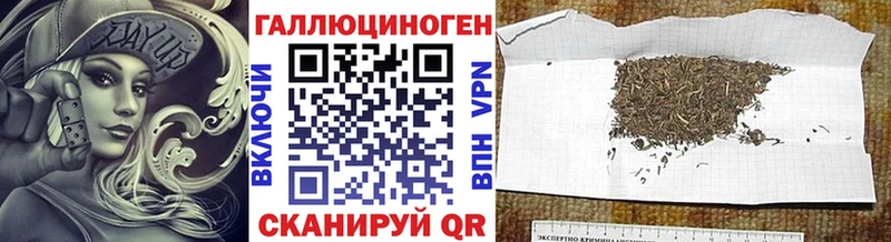 Галлюциногенные грибы прущие грибы  как найти наркотики  MEGA ССЫЛКА  Назрань 