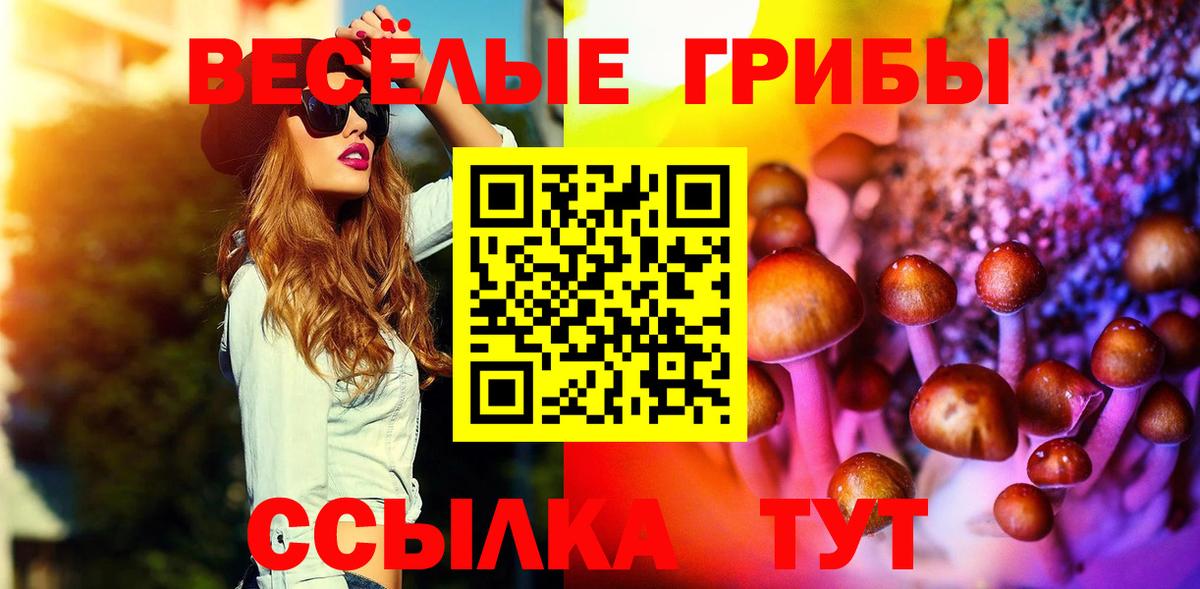 Галлюциногенные грибы прущие грибы  наркота  Вход с VPN  Назрань  Псилоцибиновые грибы Psilocybine cubensis 